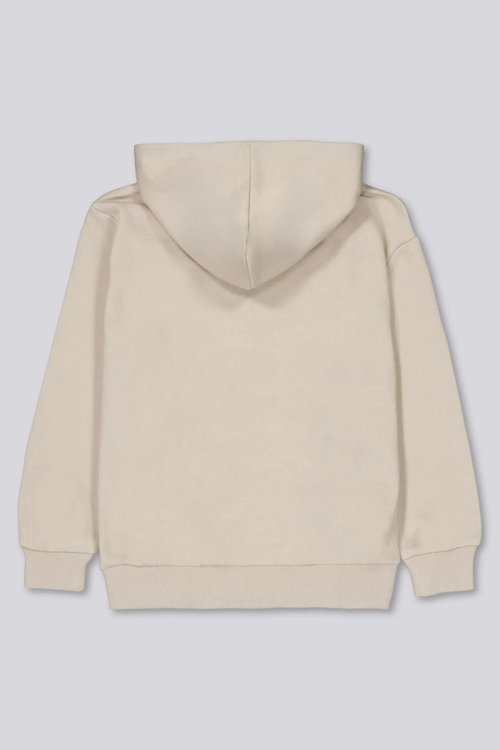 Sudadera Capucha Up