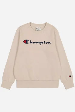 Sudadera champion