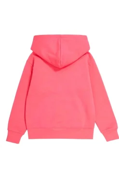 Sudadera Con Capucha Champion