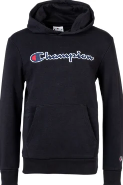 Sudadera Con Capucha Champion