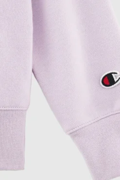 Sudadera Con Capucha Champion