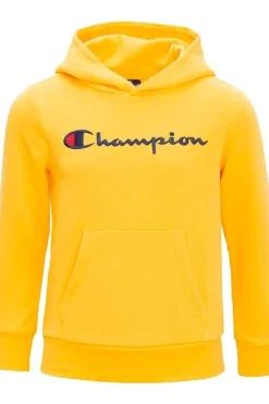Sudadera Con Capucha Champion