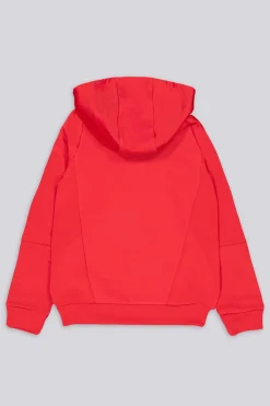 Sudadera Sl Benfica Entreno 24/25