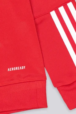Sudadera Sl Benfica Entreno 24/25