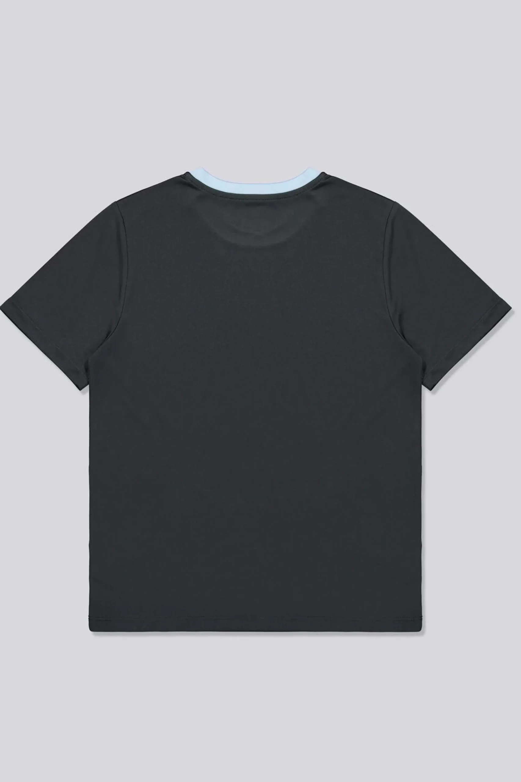 Team Quest Basic