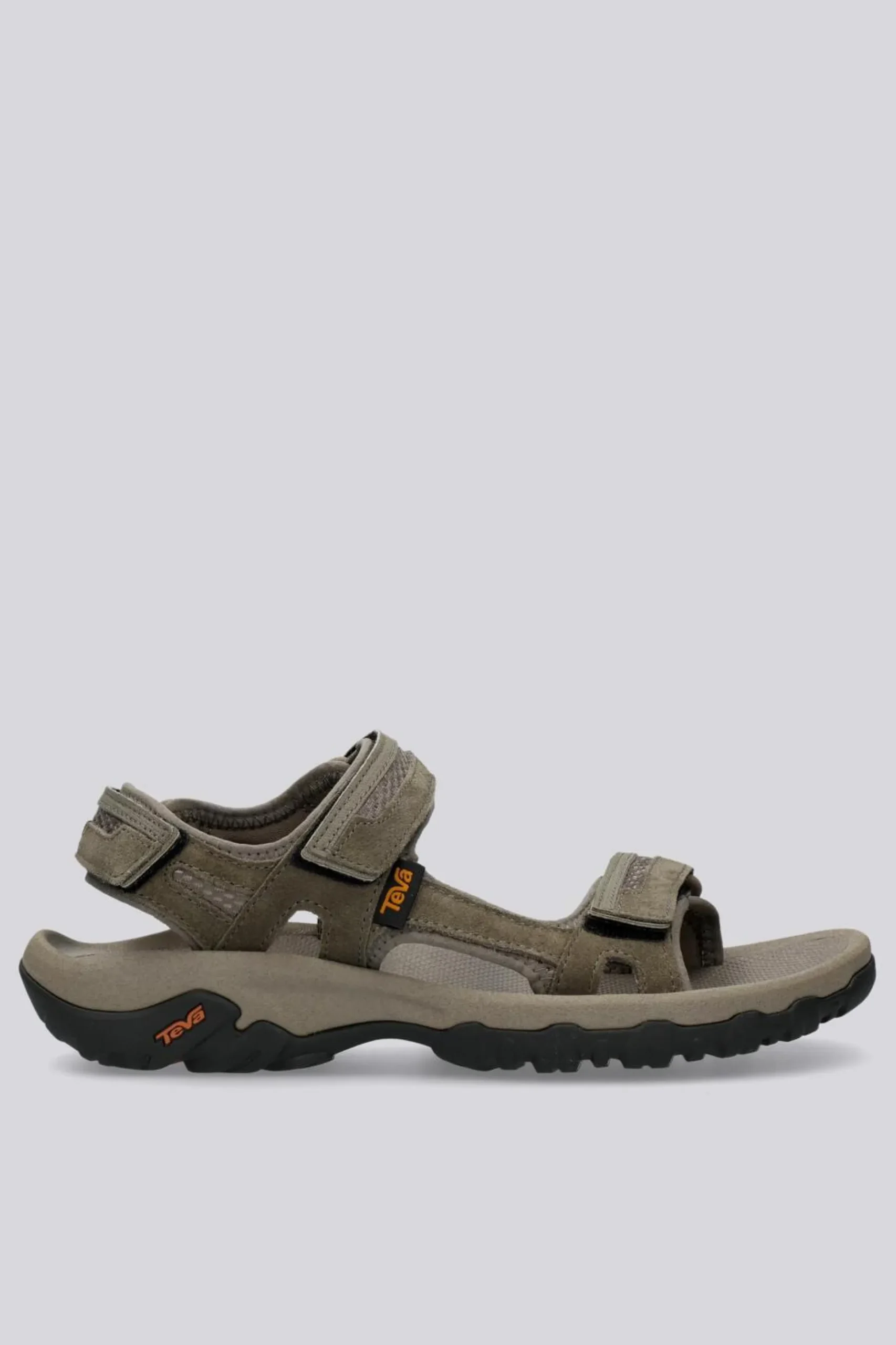 Teva Hudson