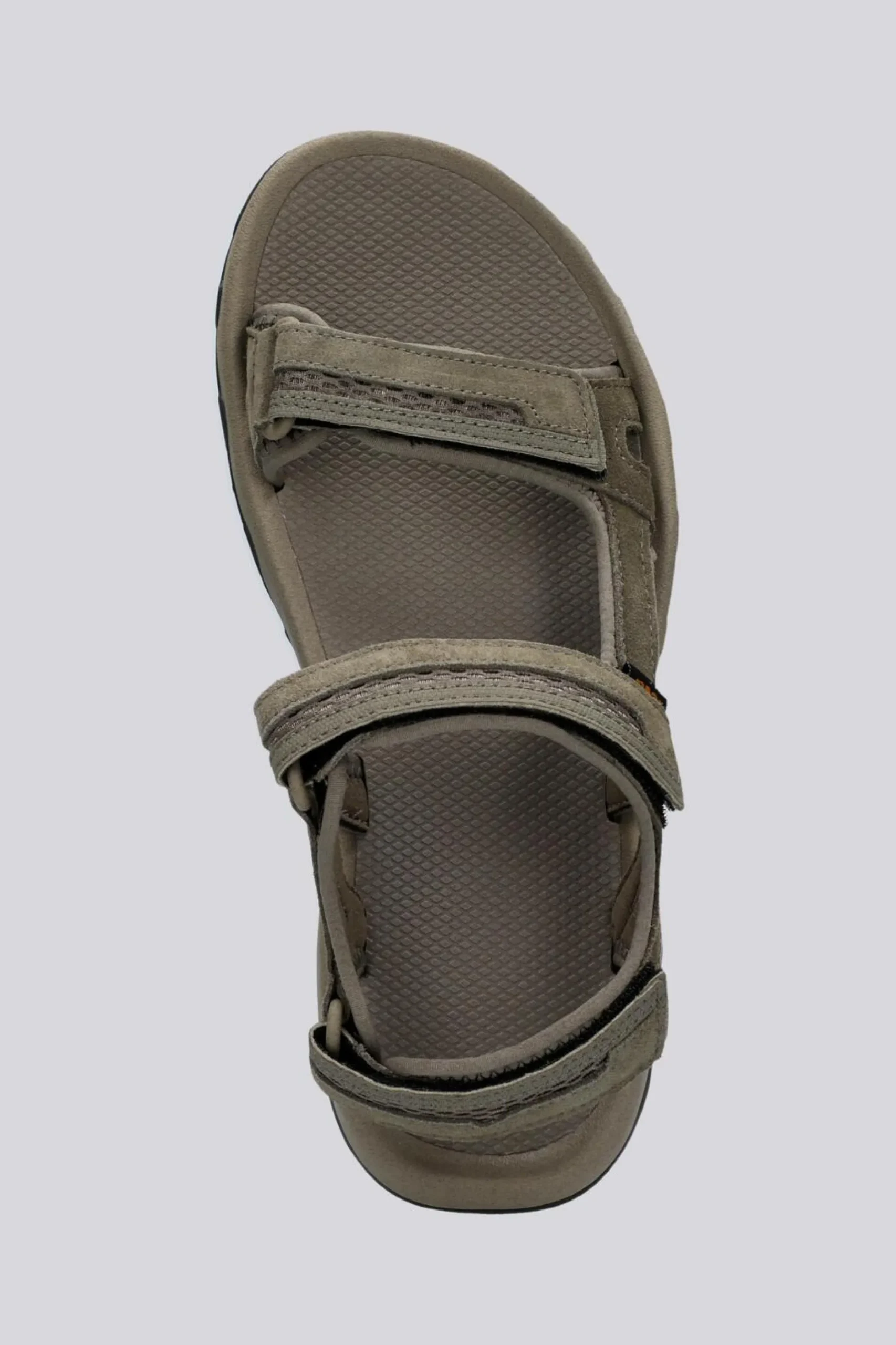 Teva Hudson