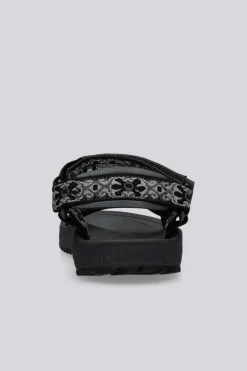 Teva Windsted