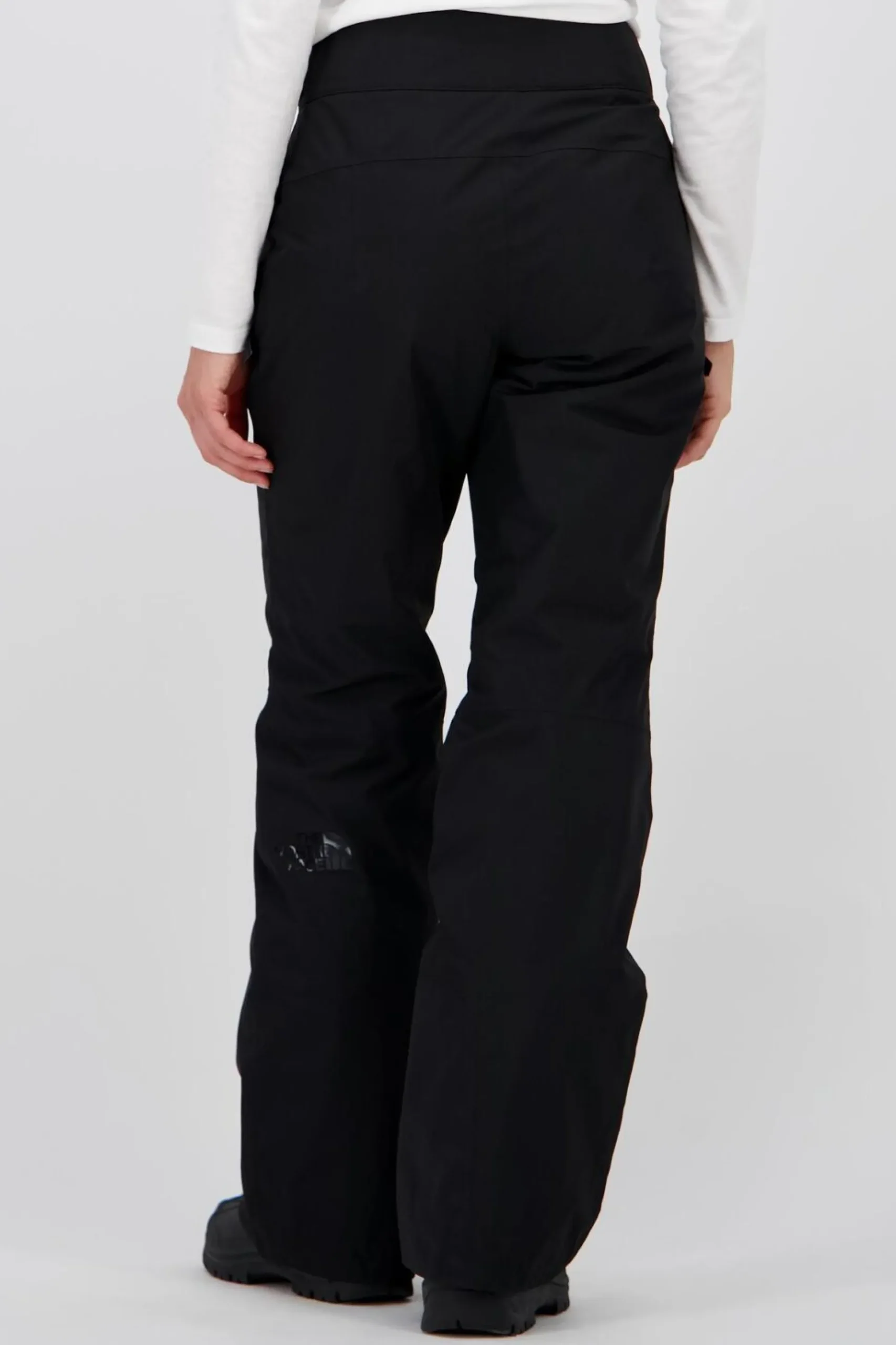 The North Face Descendit