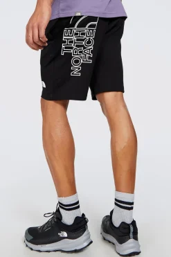 The North Face Graphic