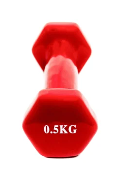 2x Mancuernas Pesas De 0,5kg Agarre Vinilo Suave Ejercicio Gimnasia Musculacion